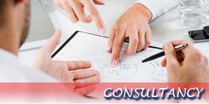 consultancy