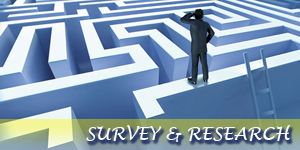 survey